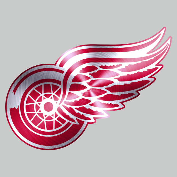 Detroit Red Wings Stainless steel logo iron on paper